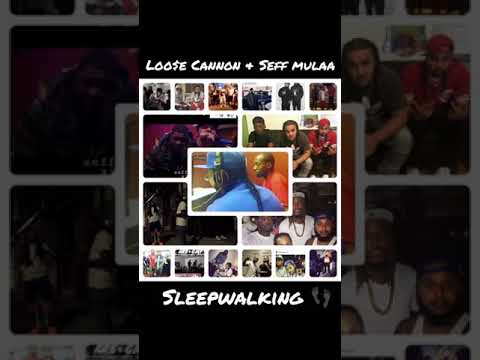 Loo$e Cannon & Seff Mulaa - Sleepwalking ( Audio )