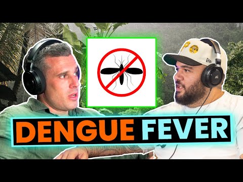 DENGUE FEVER: The Hidden DANGER for Expats in THAILAND