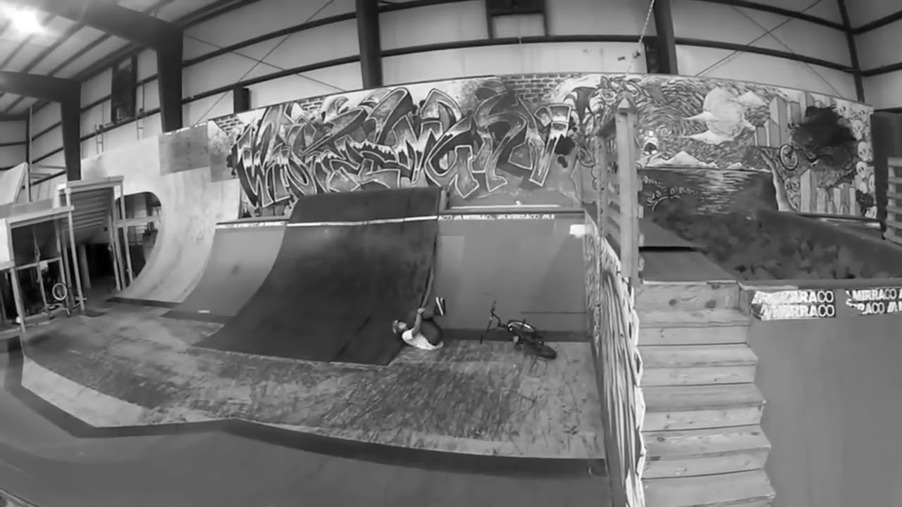 André Jesus- Animalhouse edit