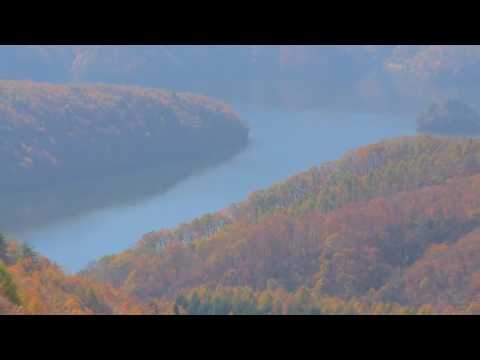 drew the architect – better when it rains w/ bones