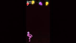 Download lagu Story WA Bukan Kaleng Kaleng mp3 Download lagu Story WA Bukan Kaleng Kaleng mp3