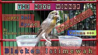 Download lagu Blacken Jawara Fighter Ngeroll Panjang || Blackthroat Silangan Kenari || Kenari Hybrid mp3 Download lagu Blacken Jawara Fighter Ngeroll Panjang || Blackthroat Silangan Kenari || Kenari Hybrid mp3