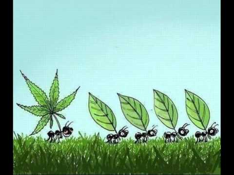 RPD+HRD - Дърпам си (2010)