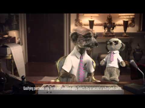 To Collect Sergei Meerkat Toy Reward buy through comparethemarket.com