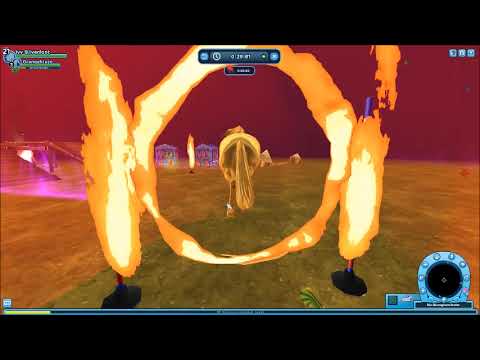 Wöchentliches Pferdelvln KW 45 2020