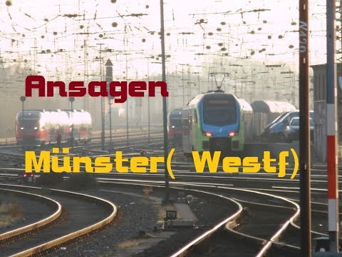 Ansagen aus Münster