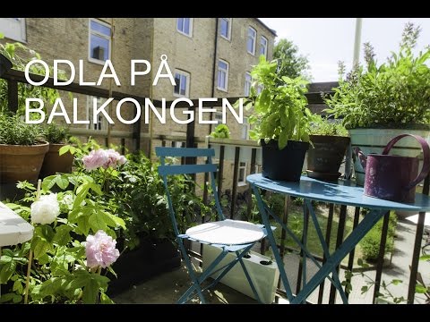 Balkonginspiration - Hemmaodlat