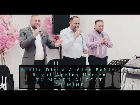 Vasile Dinca & Alex Bahica - RUGUL APRINS HERTEN / TU MEREU AI FOSTCU MINE 2023