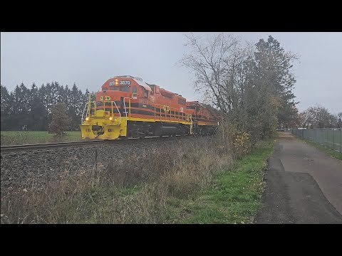 PNWR toledo patch in corvallis oregon 