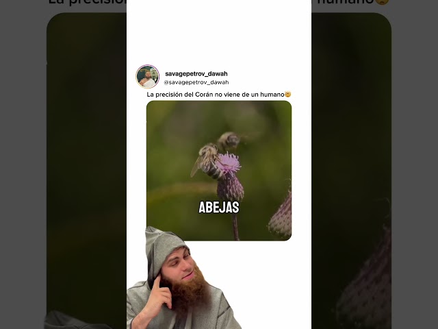 Vídeo relacionado con El Corán