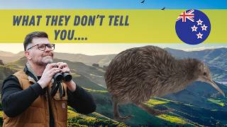 We Searched ALL NIGHT for New Zealand's Rarest Bird!