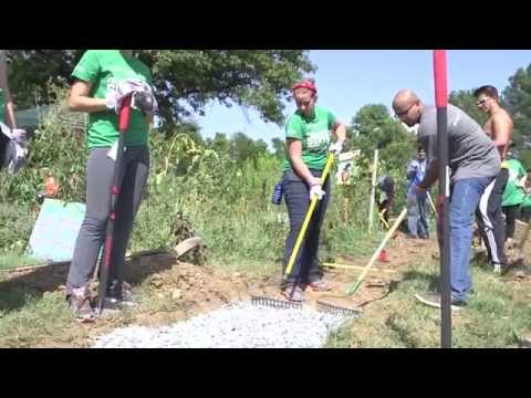 YouTube video