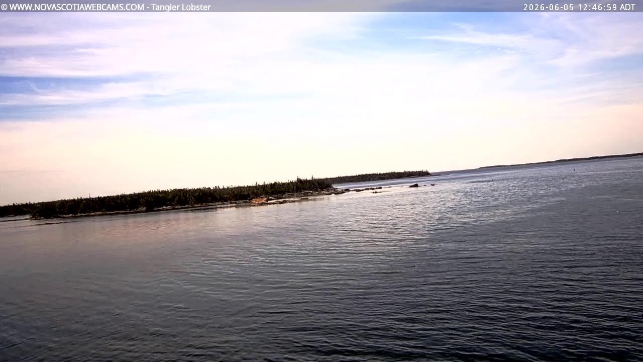 Live webcam view of Vista costera de Tangier Lobster