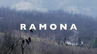 Ramona - Blackbird