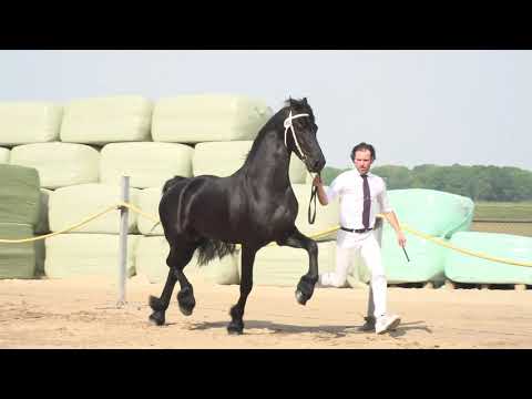 Locatiekeuring 7-5-2020 Stal Erwin Spliethof