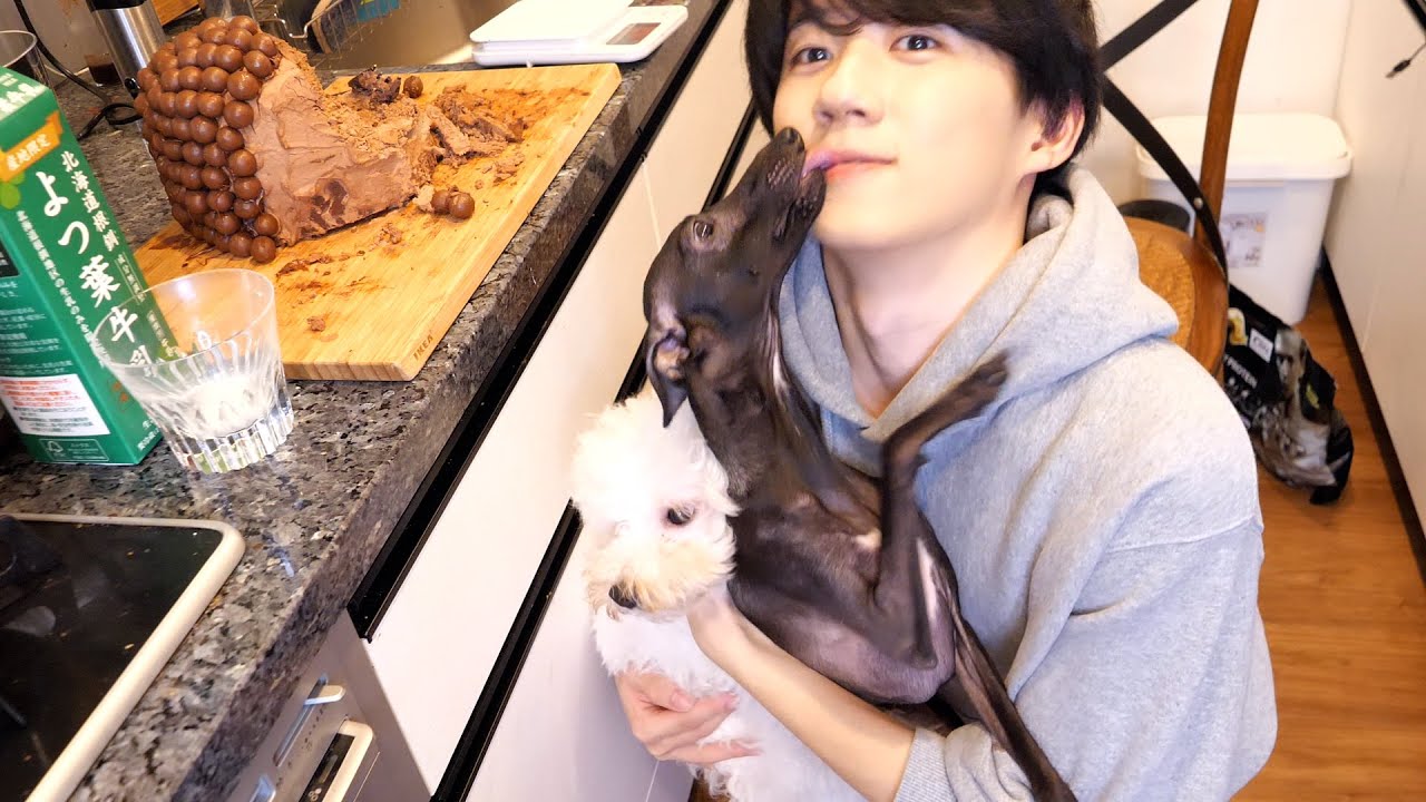 アンディバズと一緒にモルティザーズケーキ食ってみた。