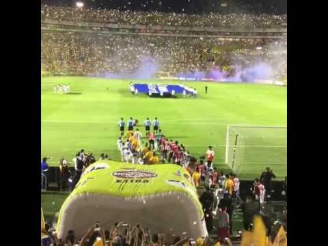 "Recibimiento de la hinchada de Tigres 25.05.2017" Barra: Libres y Lokos • Club: Tigres