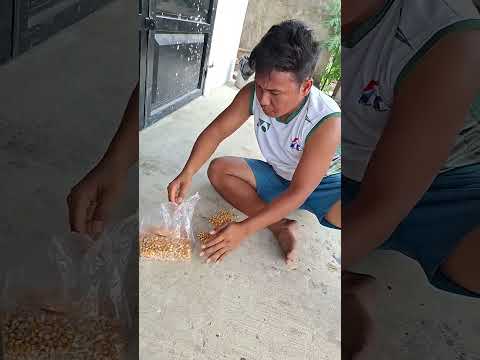 Sebelum meninggoy beres beres dulu !!!