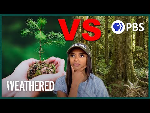 Play YouTube Video