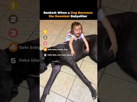 Ranked- When a Dog Becomes the Sweetest Babysitter ❤️🐶| Cutest Baby & Dog Moments