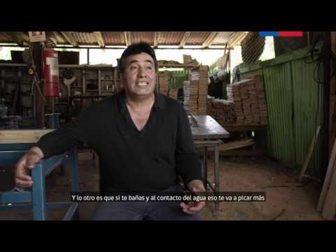 Documental   Historia Viva de Tagua Tagua  (2019)