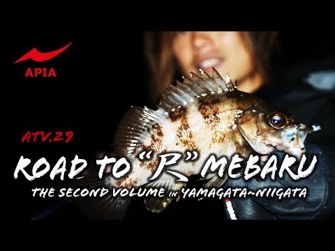 Legacy' SC 2017 | ロッド | APIA -アピア- Legacy' SC 2017 | ロッド | APIA -アピア-
