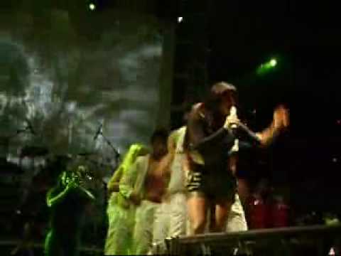 Companhia do Calypso Em Goiânia- BICHO FULEIRO E MSN