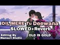 Dil Mere Tu Deewana hai Slowed reverb song || Amitabh Bacchan lofi song #music
