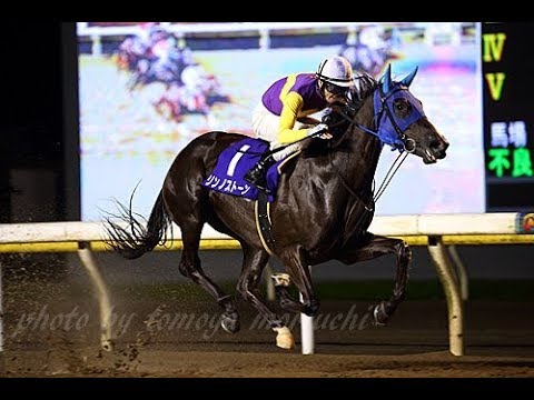 Rinno Stone (Smart Robin - Sammaru Fair by Admire Don)