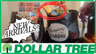 “Dollar Tree’s Latest Arrivals = Cart Full of Joy! 🧺✨
