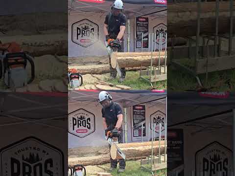 Oregon's EXL chain vs Stihl’s Hexa ⛓️Which one gets your vote?