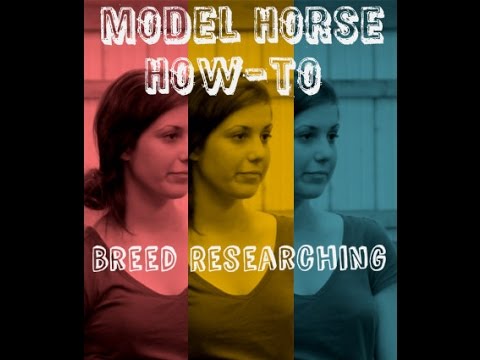 , title : 'Model Horse How-To: Breed Researching and Referencing'