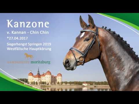 KANZONE v. Kannan - Chin Chin