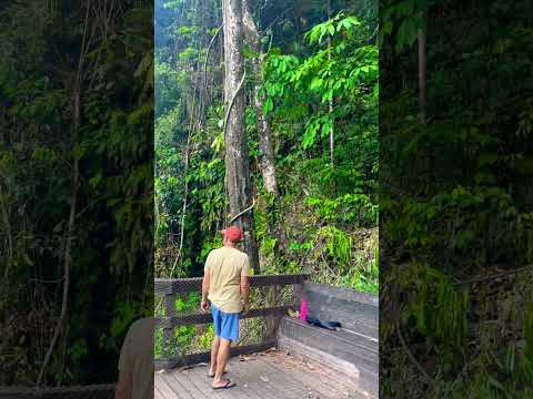 Belezas de Ouro Preto Rondônia                            #pesca #motorhome #ecoturismo#viagem#
