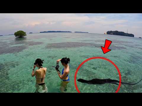 Niatnya Rayain Ultah, Tapi Teman Korea Malah Trauma di Pulau Seribu?!😱