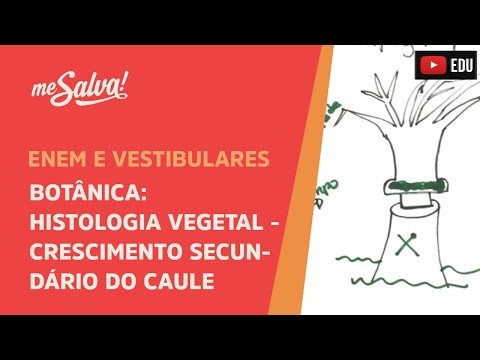 Me Salva! BOT22 - Botânica - Histologia vegetal: crescimento secundário do caule