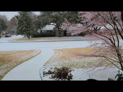 Sleet falling rapidly in 23° - Dallas 2-3-2022