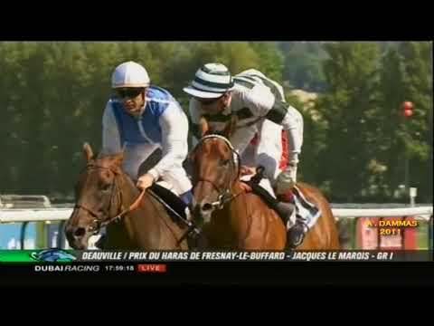 Immortal Verse - Prix Du Haras De Fresnay-Le-Buffard - Jacques Le Marois 2011 G1