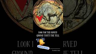 Buffalo Nickel Varieties Explained.