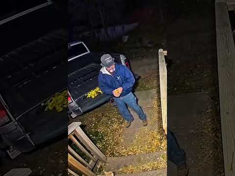 Funny animals 🤣#pet #cat #dog #cute #animals #foryou #typ