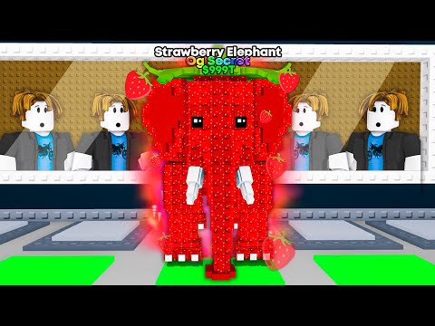 OG Secret Brainrot vs Public Server