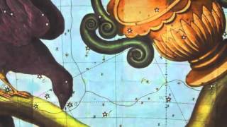 Laetitia Sadier "Dry Fruit" (Official Video)