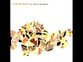 Junior Boys - Double Shadow