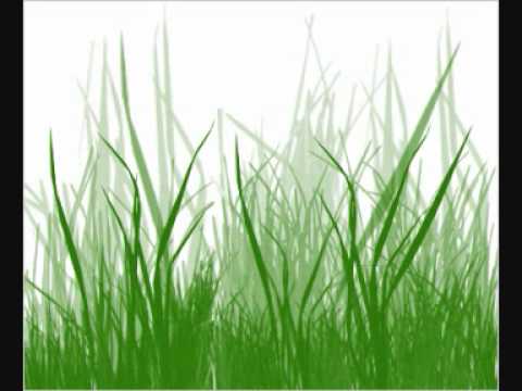 100blumen - grassroot symphony.wmv