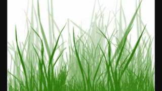 100blumen - grassroot symphony.wmv