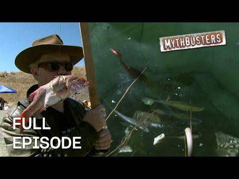Like Shooting Fish in a Barrel! | MythBusters | Season 4 Episode 22 | Full Episode