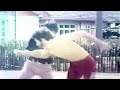 Bruce Lee S Deadly Kung Fu