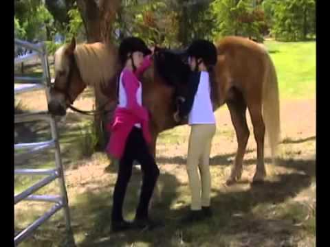 Grand Galop Saison 2 Episode 17   Drew, reviens !