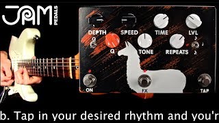 Video thumbnail for Jam Pedals Delay Llama Supreme by Mike Hermans