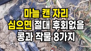 마늘 캔 자리에 심으면 절대 후회하지 않을 콩과 작물 8가지